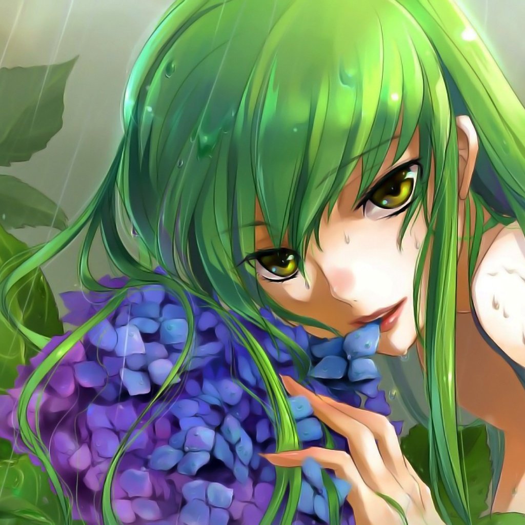 Обои цветы, девушка, дождь, волосы, cc, код гиасс, flowers, girl, rain, hair, code geass разрешение 1920x1200 Загрузить