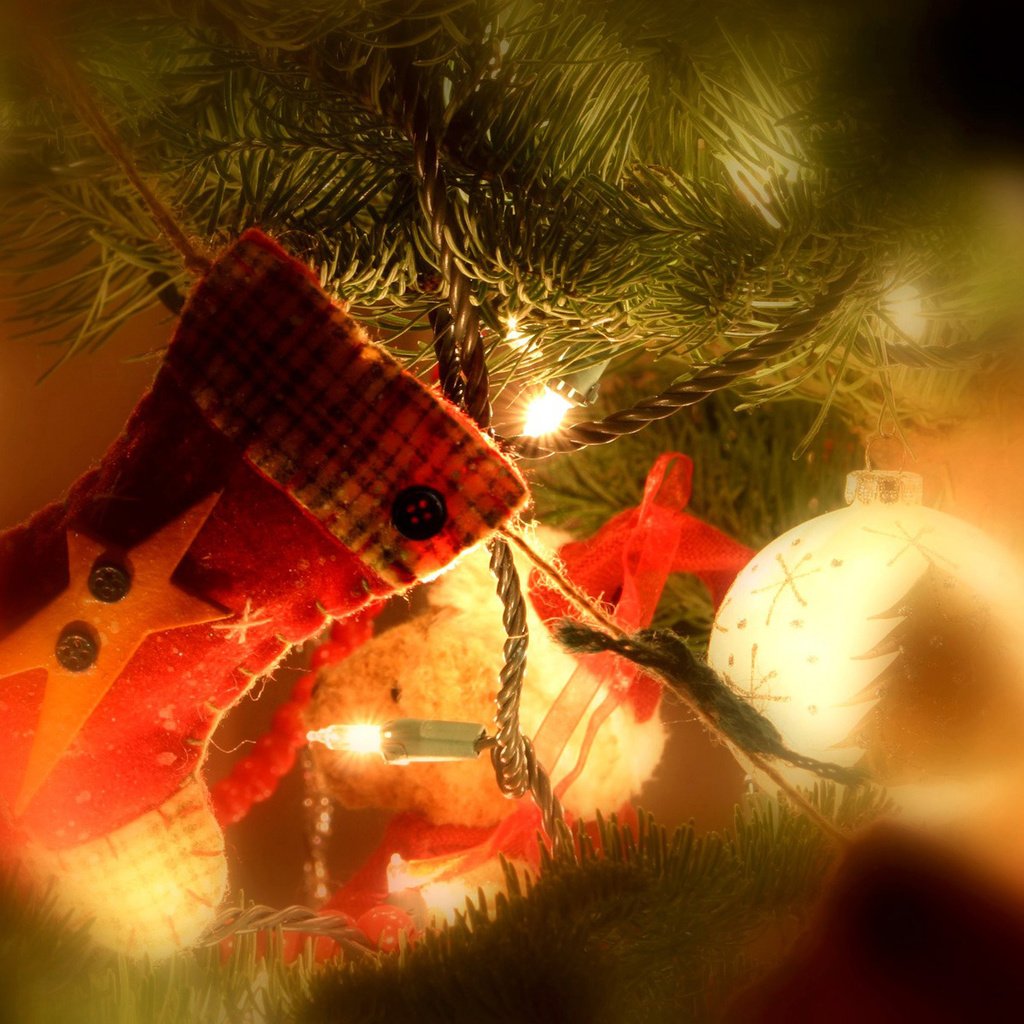 Обои ветка, новый год, украшения, шарик, праздник, рождество, украшение, еловая, branch, new year, decoration, ball, holiday, christmas разрешение 1920x1200 Загрузить