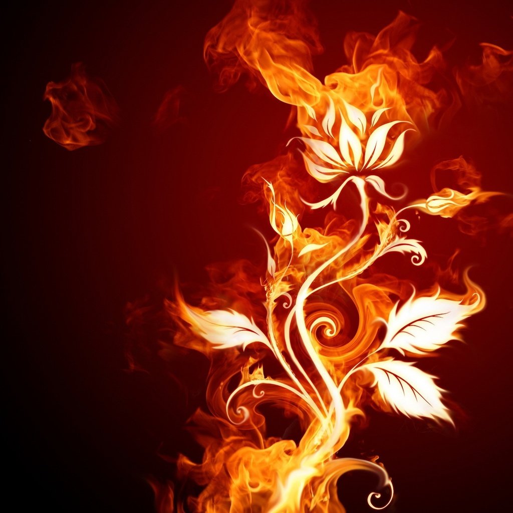 Обои цветок, огонь, flower, fire разрешение 1920x1440 Загрузить