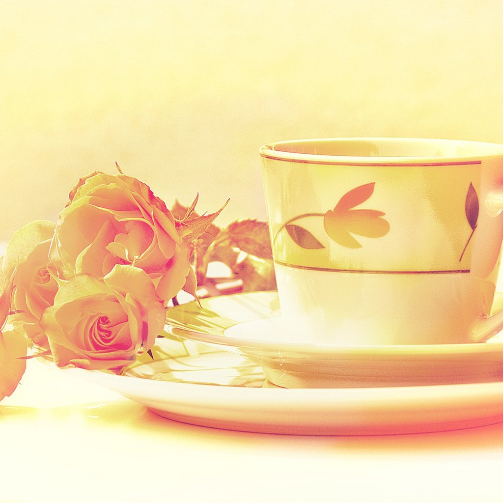 Обои цветы, натюрморт, цвета, сервиз, розы, обработка, блюдце, чашка, чай, изображение, flowers, still life, color, set, roses, treatment, saucer, cup, tea, image разрешение 1920x1200 Загрузить