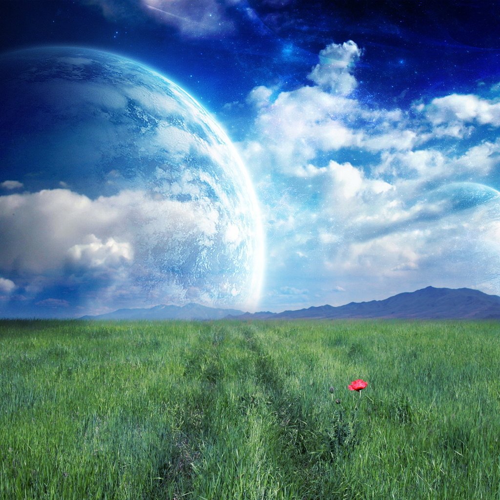 Обои трава, облака, поле, планета, grass, clouds, field, planet разрешение 1920x1080 Загрузить