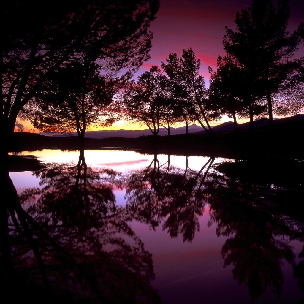 Обои деревья, вечер, озеро, закат, отражение, trees, the evening, lake, sunset, reflection разрешение 1999x1333 Загрузить