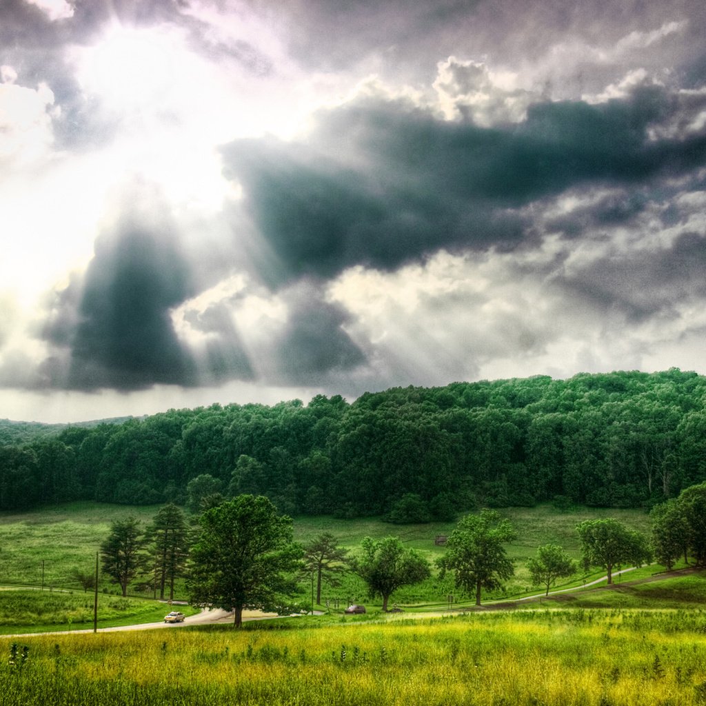 Обои небо, облака, деревья, природа, поле, солнечные лучи, the sky, clouds, trees, nature, field, the sun's rays разрешение 1920x1080 Загрузить