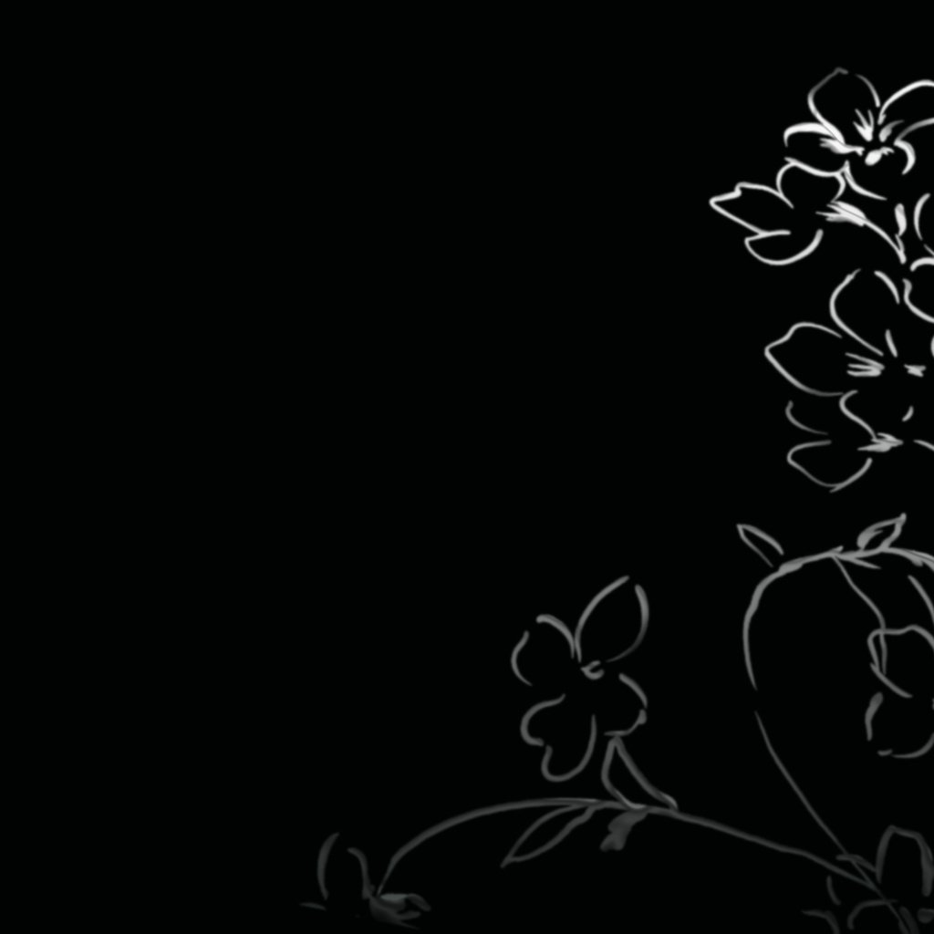 Обои цветы, черный фон, цветочки, рисуночек, flowers, black background, reconocer разрешение 1920x1200 Загрузить