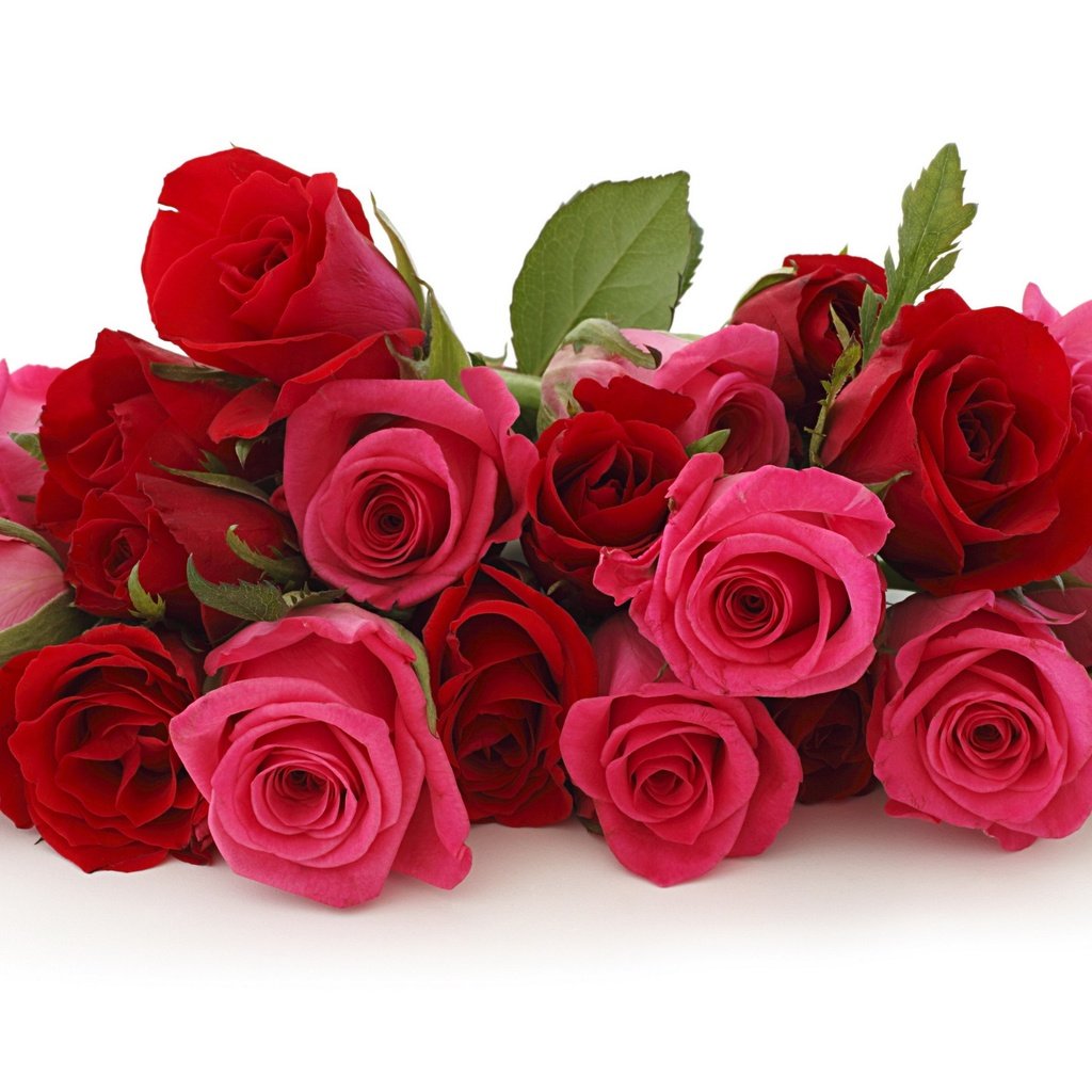 Обои цветы, розы, букет, подарок, flowers, roses, bouquet, gift разрешение 3456x2070 Загрузить