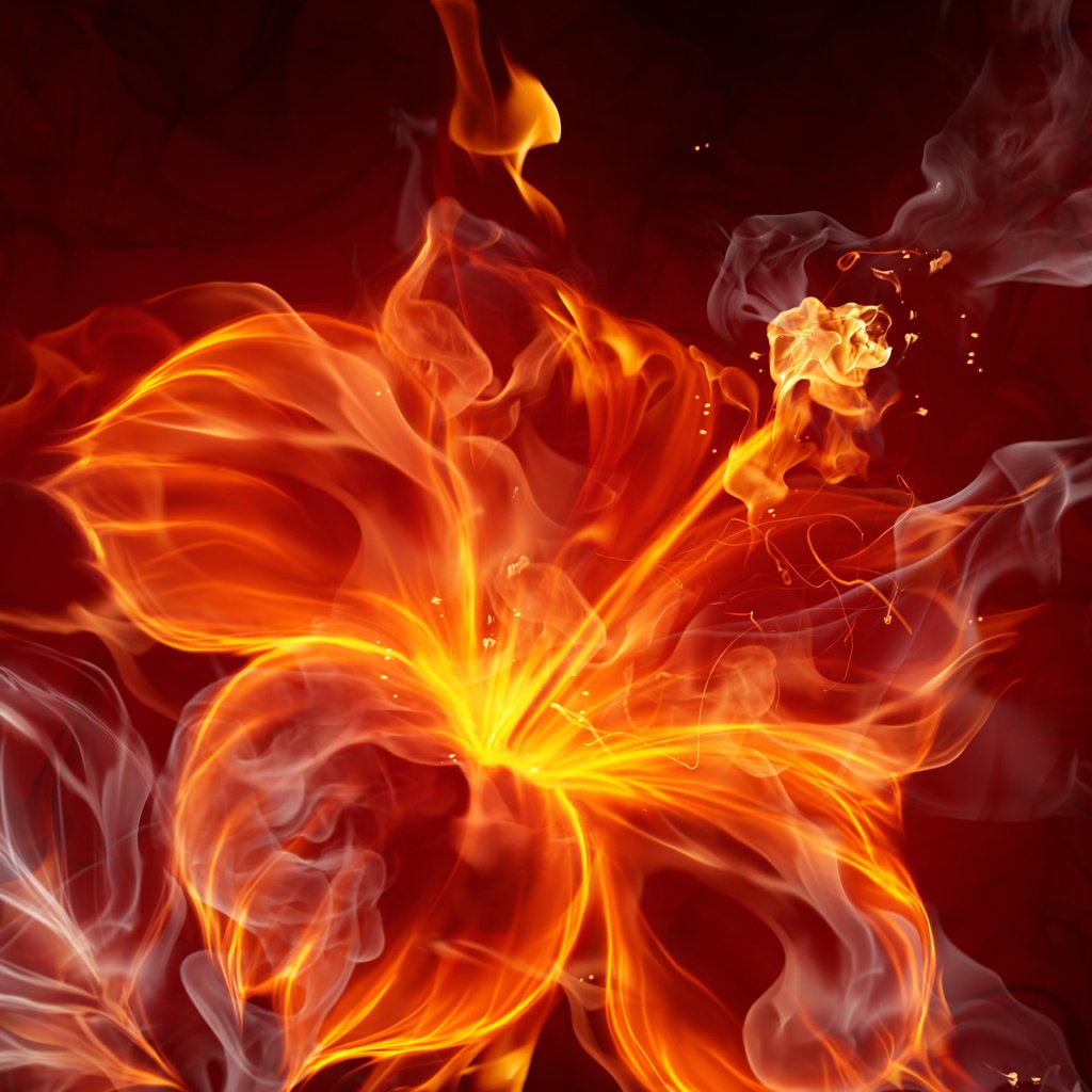 Обои абстракция, пламя, цветок, огонь, дым, силуэт, волшебный цветок, abstraction, flame, flower, fire, smoke, silhouette разрешение 2560x1600 Загрузить