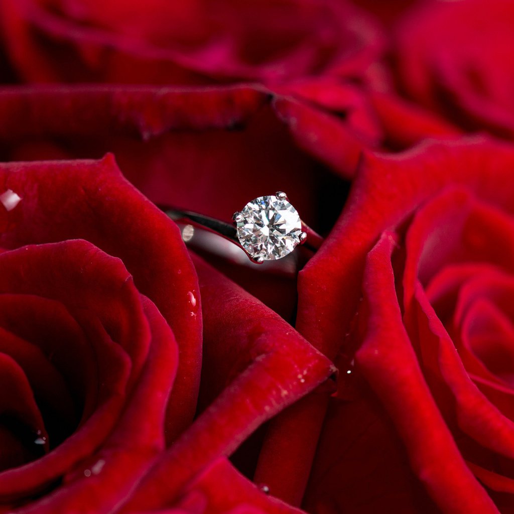 Обои цветы, розы, красные, кольцо, бриллиант, flowers, roses, red, ring, diamond разрешение 1920x1200 Загрузить