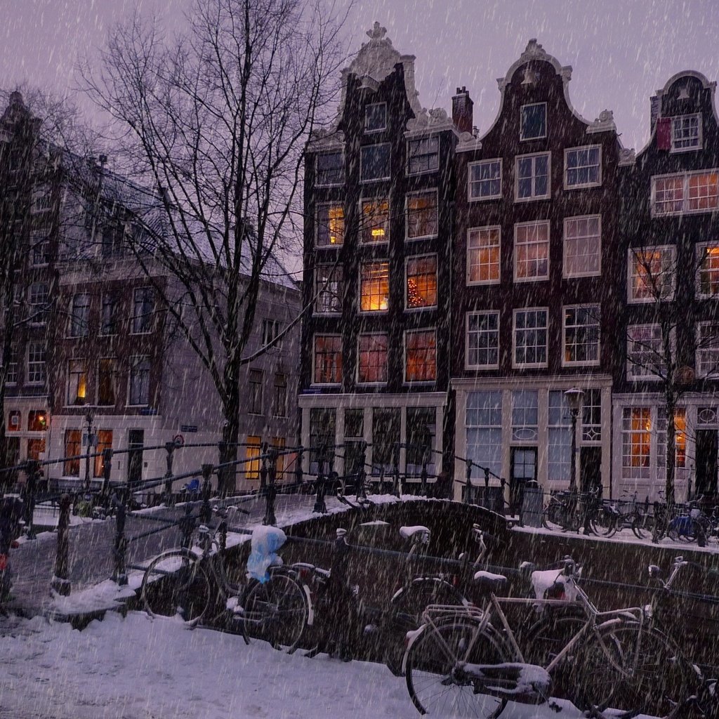 Обои деревья, люди, let it snow in the amsterdam, огни, мост, вечер, дома, река, улица, снег, дождь, зима, здания, пейзаж, окна, вид, зимний, амстердам, amsterdam, trees, people, lights, bridge, the evening, home, river, street, snow, rain, winter, building, landscape, windows, view разрешение 2560x1600 Загрузить