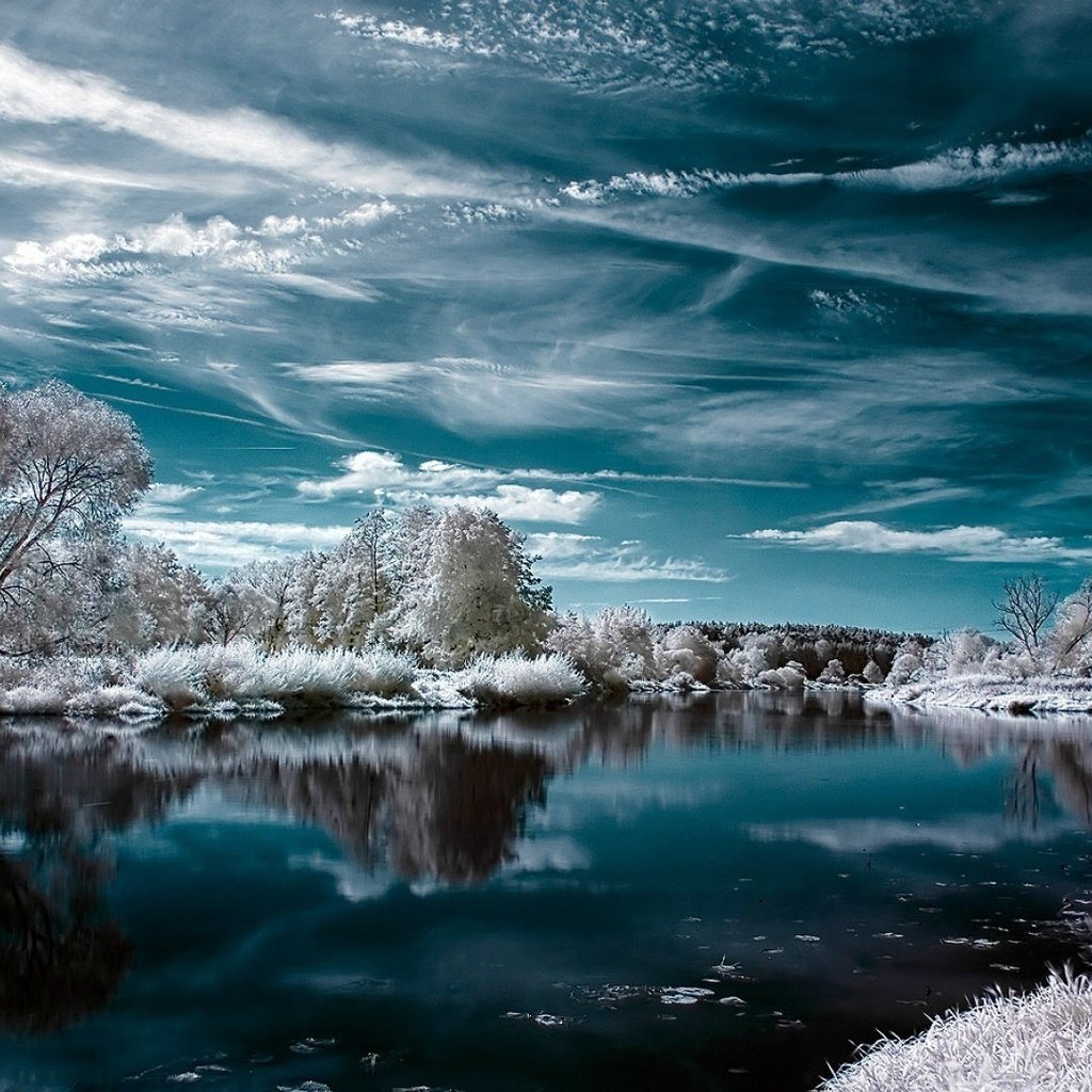 Обои вода, облачное небо, деревья и трава в инее, скоро зима, water, cloudy sky, the grass and the trees in frost, winter is coming разрешение 1920x1080 Загрузить