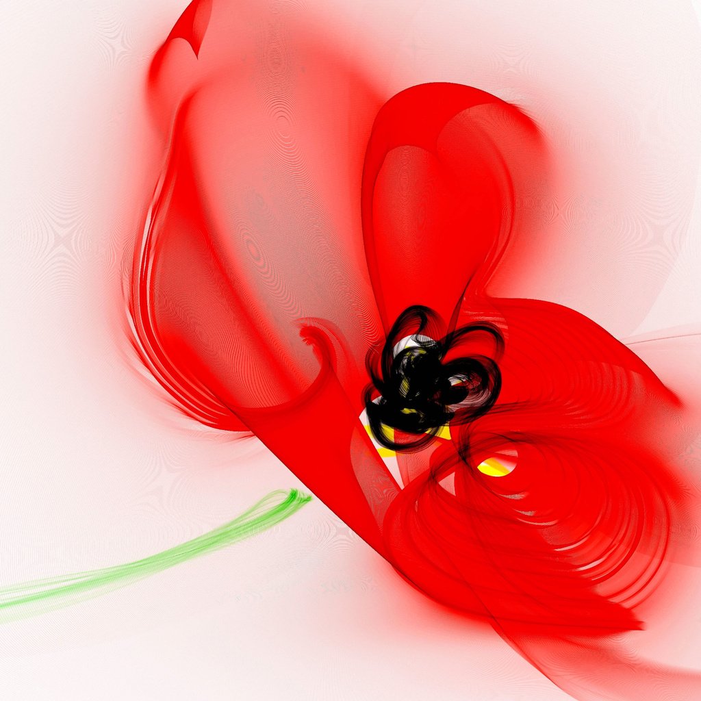 Обои цветок, красный, графика, мак, белый фон, flower, red, graphics, mac, white background разрешение 5905x4337 Загрузить