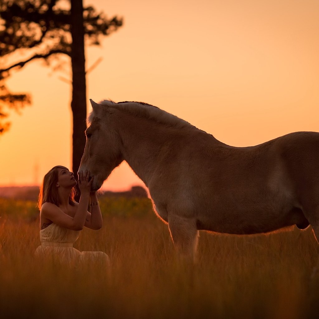 Обои закат, девушка, настроение, конь, sunset, girl, mood, horse разрешение 2047x1301 Загрузить
