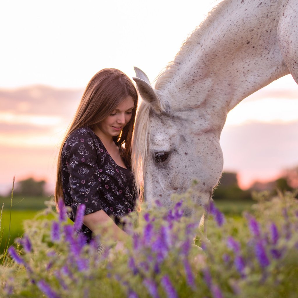 Обои природа, девушка, конь, nature, girl, horse разрешение 2048x1365 Загрузить
