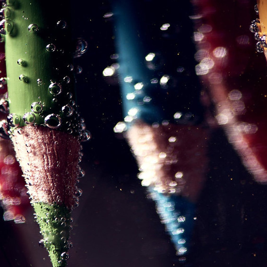 Обои цветные карандаши, вода, макро, фон, капли, цвет, карандаши, цветные, пузырьки, colored pencils, water, macro, background, drops, color, pencils, colored, bubbles разрешение 2560x1600 Загрузить
