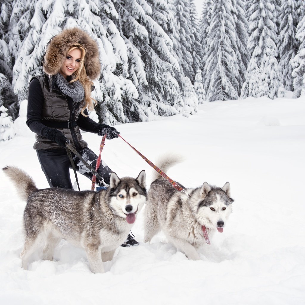 Обои собаки, снег, лес, зима, девушка, блондинка, улыбка, хаски, мех, dogs, snow, forest, winter, girl, blonde, smile, husky, fur разрешение 7360x4912 Загрузить
