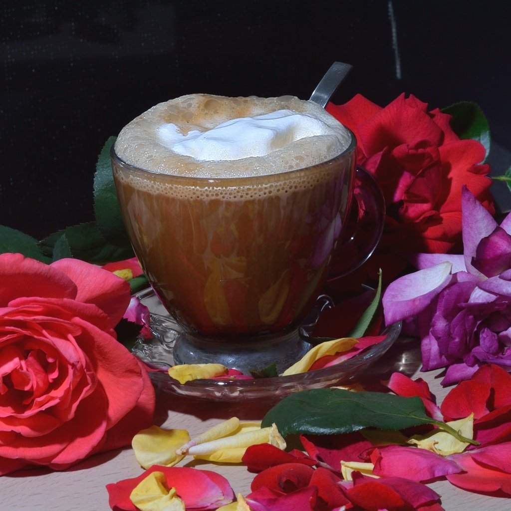 Обои цветы, напиток, розы, лепестки, кофе, пенка, flowers, drink, roses, petals, coffee, foam разрешение 2048x1365 Загрузить