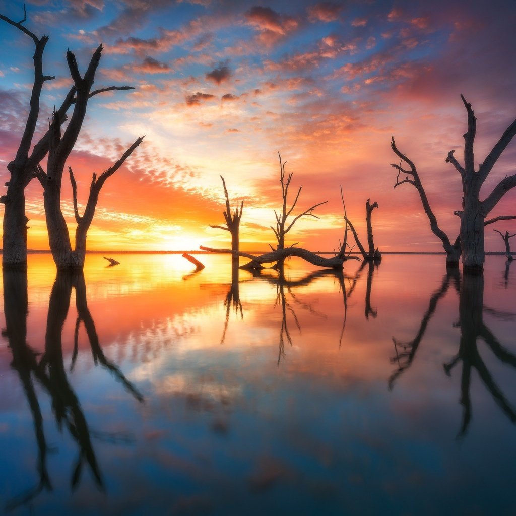 Обои австралия, небо, свет, деревья, вода, вечер, солнце, природа, отражение, australia, the sky, light, trees, water, the evening, the sun, nature, reflection разрешение 2048x1366 Загрузить