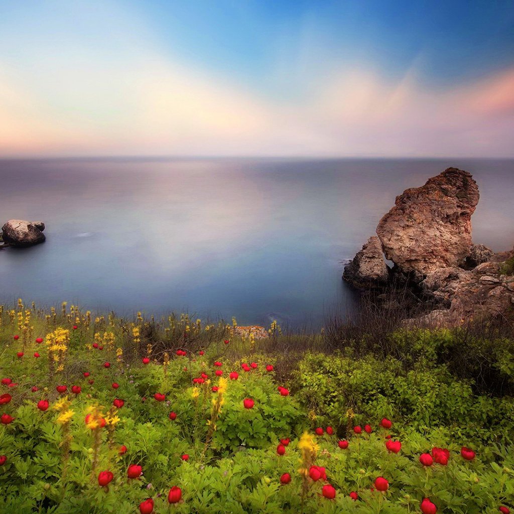 Обои небо, цветы, скалы, берег, пейзаж, море, the sky, flowers, rocks, shore, landscape, sea разрешение 1920x1080 Загрузить