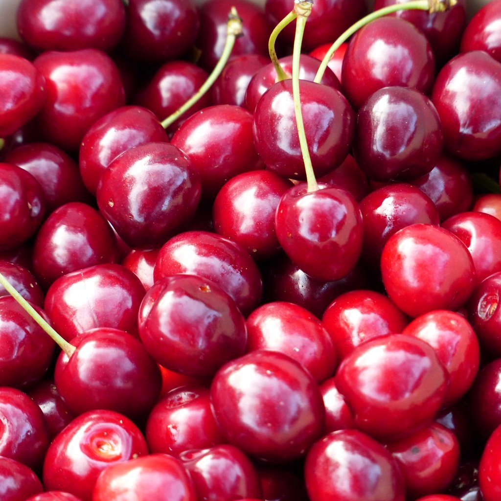 Обои черешня, ягоды, вишня, cherry, berries разрешение 4000x3000 Загрузить