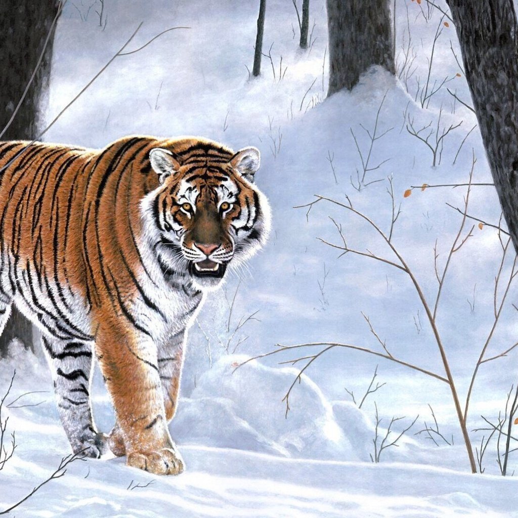 Обои тигр, деревья, зима, хищник, сугробы, амурский тигр, tiger, trees, winter, predator, the snow, the amur tiger разрешение 1920x1080 Загрузить