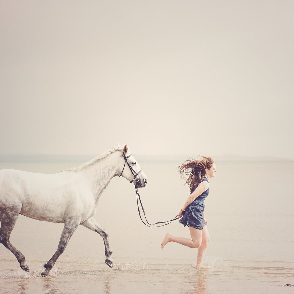 Обои лошадь, берег, девушка, море, пляж, горизонт, свобода, бег, horse, shore, girl, sea, beach, horizon, freedom, running разрешение 2048x1367 Загрузить