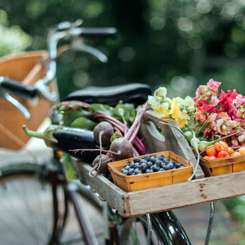 Обои цветы, лето, фрукты, овощи, велосипед, боке, flowers, summer, fruit, vegetables, bike, bokeh разрешение 2048x1383 Загрузить