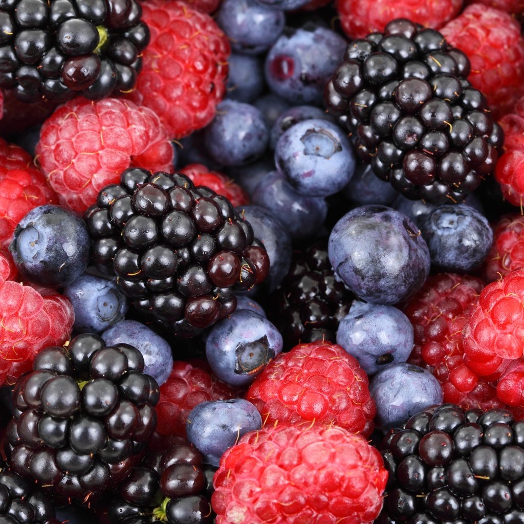 Обои макро, малина, ягоды, черника, ежевика, macro, raspberry, berries, blueberries, blackberry разрешение 4752x3168 Загрузить