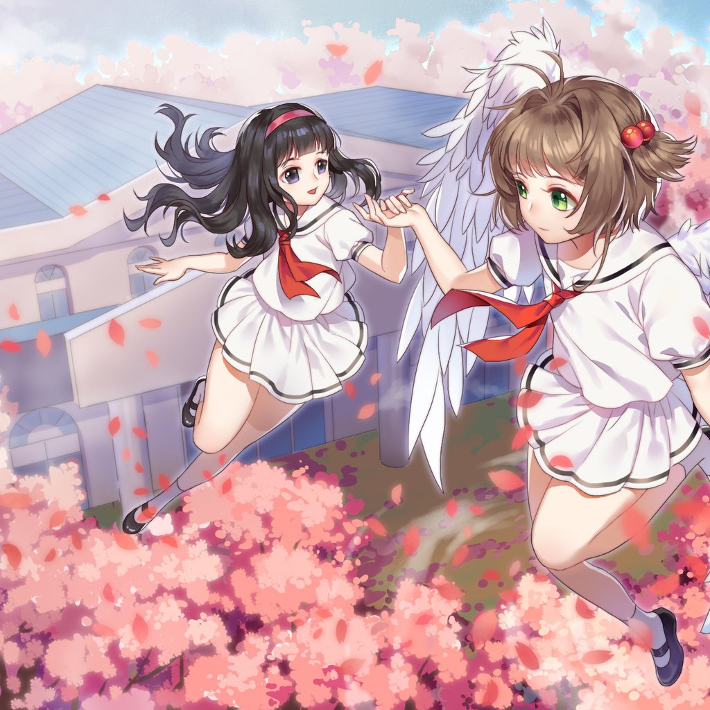 Обои летающие, cherry blossom, летны, крылышки, kinomoto sakura, blossom, anime girls, cardcaptor sakura, daidouji tomoyo, flying, flight, wings разрешение 2250x1405 Загрузить