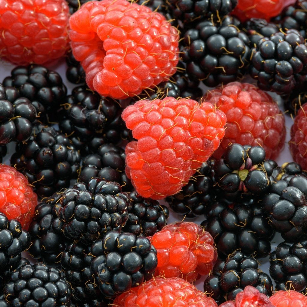 Обои макро, малина, ягоды, ежевика, macro, raspberry, berries, blackberry разрешение 3840x2160 Загрузить