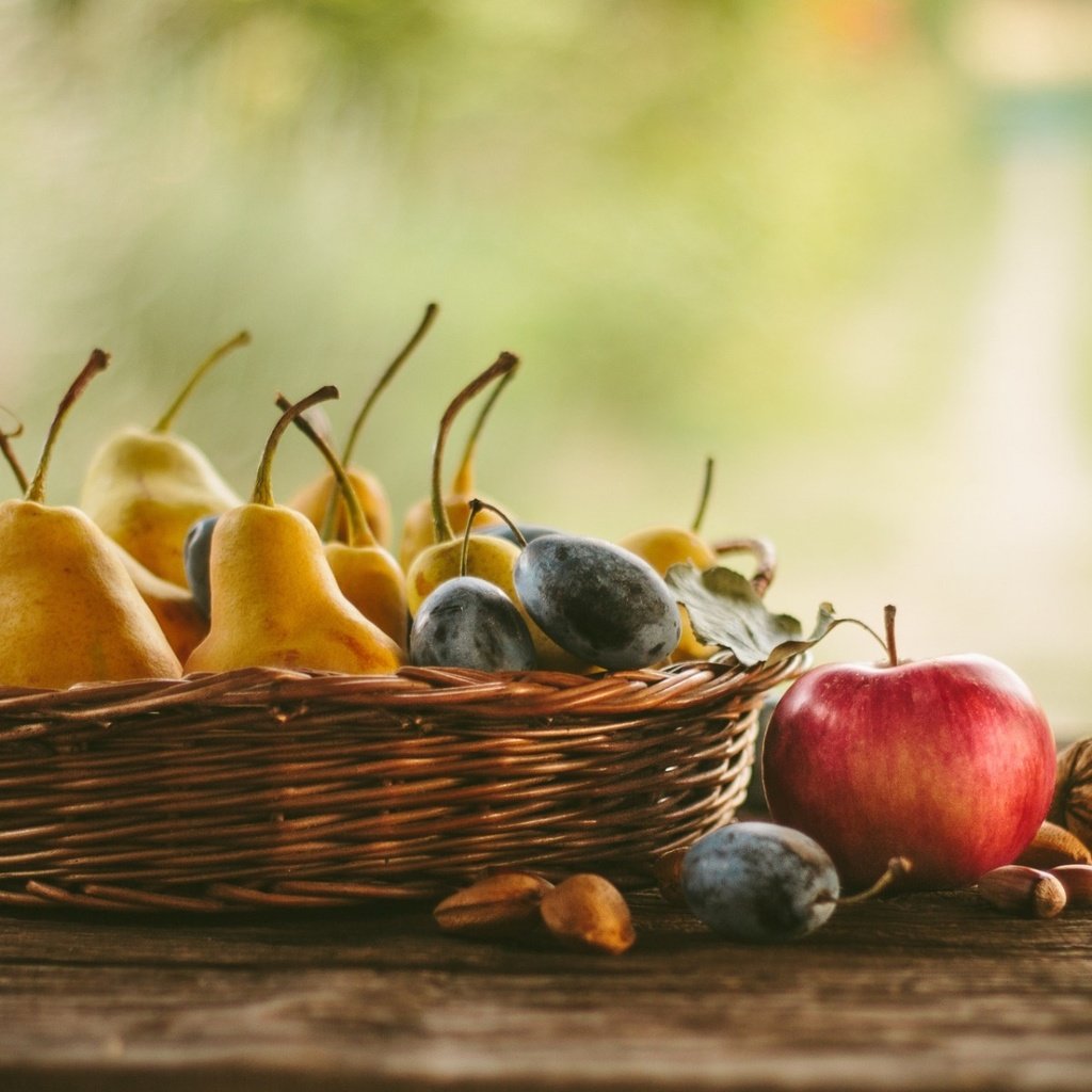 Обои орехи, фрукты, яблоки, груши, сливы, осенний урожай, nuts, fruit, apples, pear, plum, autumn harvest разрешение 1920x1200 Загрузить