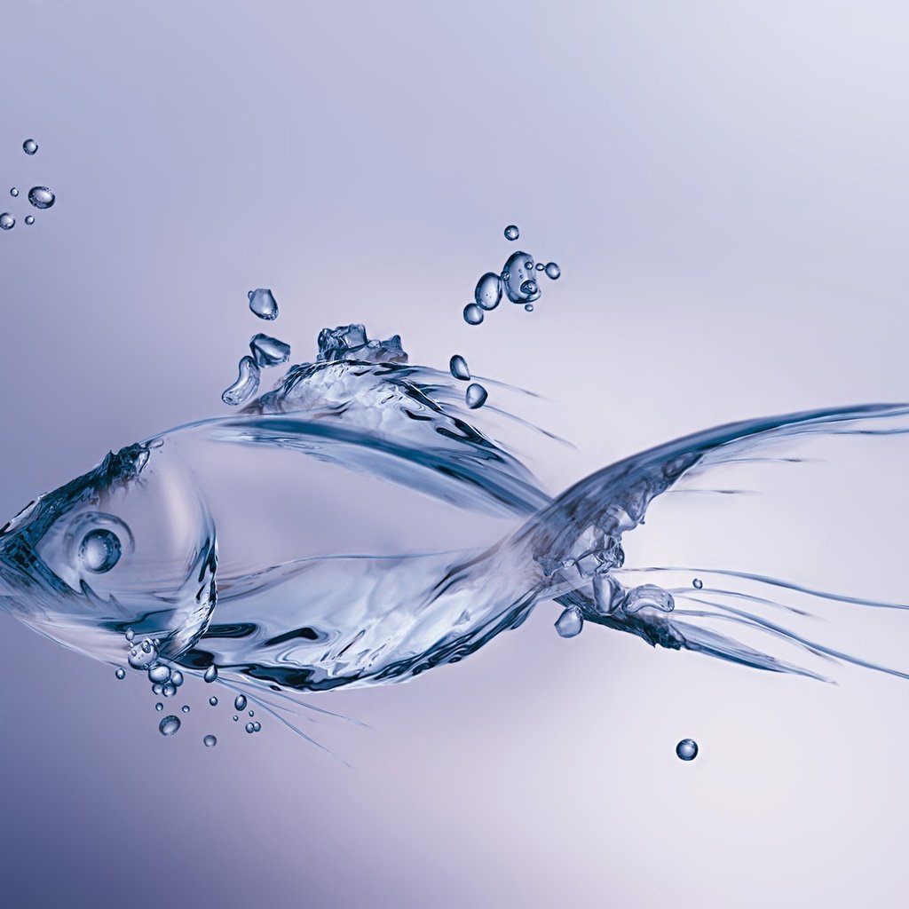Обои вода, капли, графика, рыбка, пузырьки, рыба, 3д, water, drops, graphics, fish, bubbles, 3d разрешение 4490x3000 Загрузить