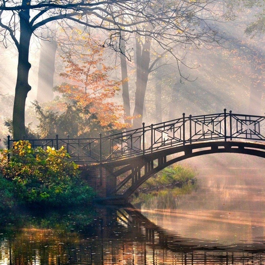 Обои деревья, река, листья, парк, мост, осень, рирода, trees, river, leaves, park, bridge, autumn разрешение 1920x1080 Загрузить