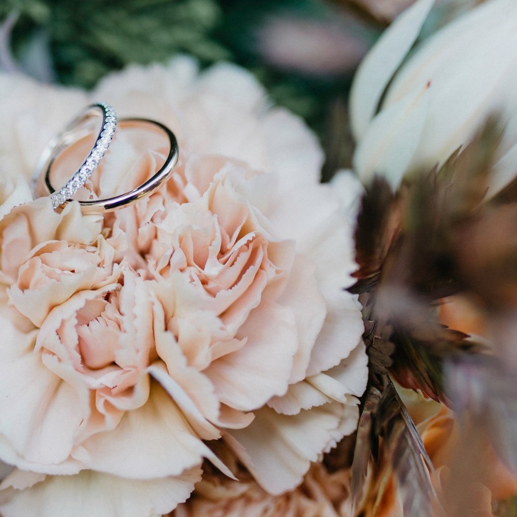 Обои цветок, кольцо, свадьба, обручальные кольца, боке, flower, ring, wedding, engagement rings, bokeh разрешение 4850x2728 Загрузить