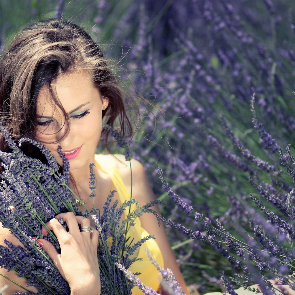 Обои цветы, девушка, лаванда, букет, flowers, girl, lavender, bouquet разрешение 4272x2848 Загрузить
