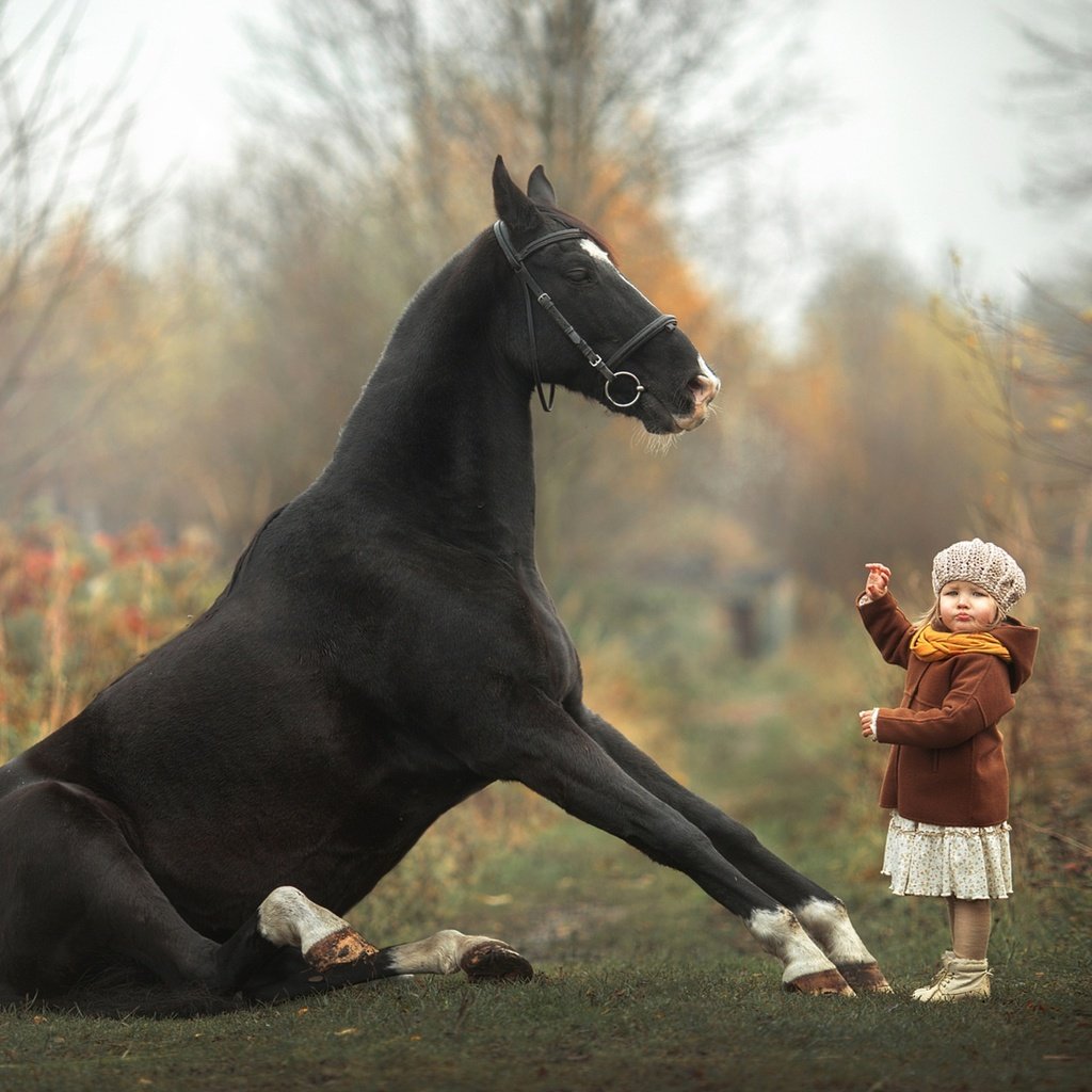 Обои лошадь, девочка, малышка, дрессура, horse, girl, baby, taming разрешение 1920x1280 Загрузить