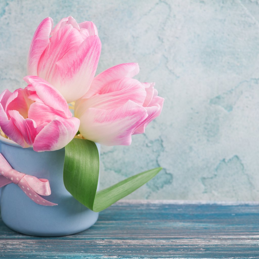 Обои цветы, кружка, тюльпаны, розовые, irina bort, flowers, mug, tulips, pink разрешение 4256x2832 Загрузить