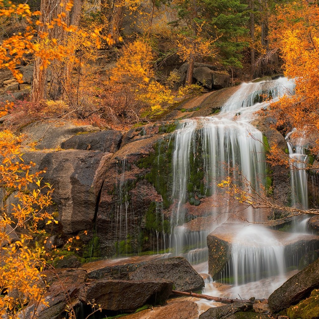 Обои деревья, скала, водопад, осень, калифорния, каскад, eastern sierra, trees, rock, waterfall, autumn, ca, cascade разрешение 2000x1292 Загрузить