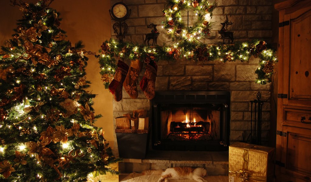 Обои елка, украшения, дом, камин, праздник, tree, decoration, house, fireplace, holiday разрешение 1920x1200 Загрузить