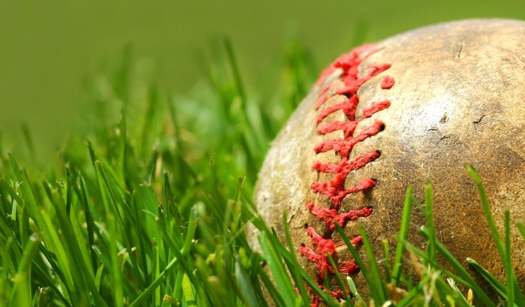 Обои трава, зелёный, мяч, шов, бейсбольный мяч, grass, green, the ball, seam, baseball разрешение 2560x1600 Загрузить