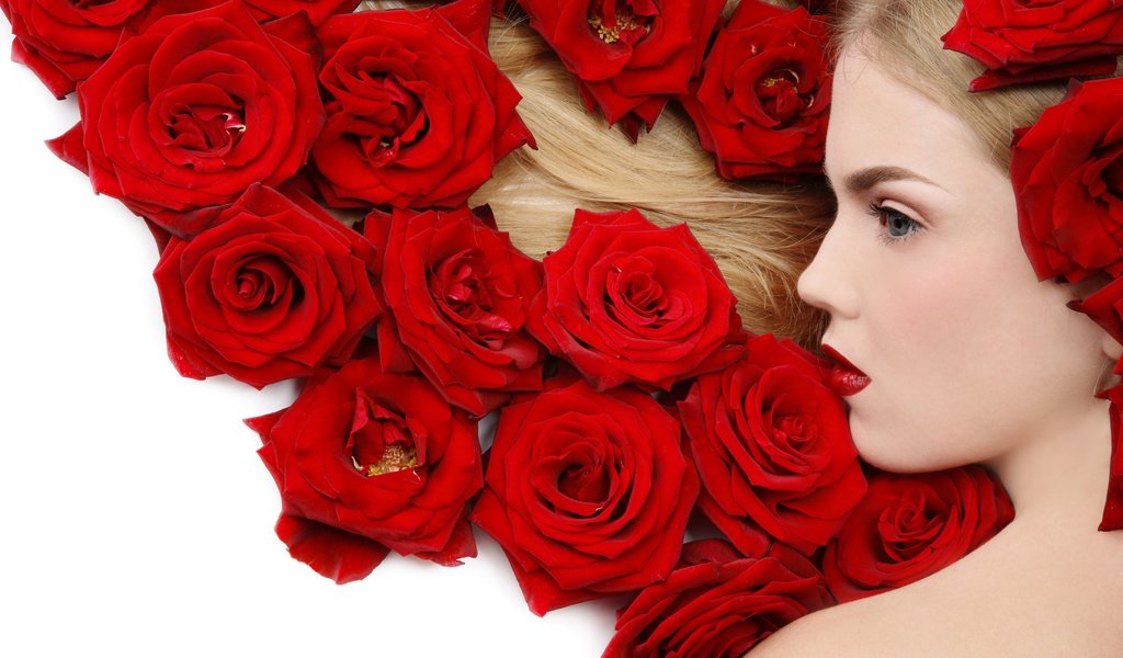 Обои цветы, девушка, блондинка, роза, красный, flowers, girl, blonde, rose, red разрешение 2560x1600 Загрузить