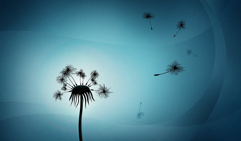 Обои свет, минимализм, одуванчик, пух, light, minimalism, dandelion, fluff разрешение 2560x1600 Загрузить