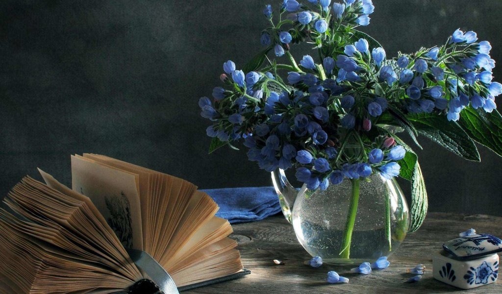 Обои цветы, букет, ваза, голубые, книга, натюрморт, шкатулка, весенние, flowers, bouquet, vase, blue, book, still life, box, spring разрешение 1920x1200 Загрузить