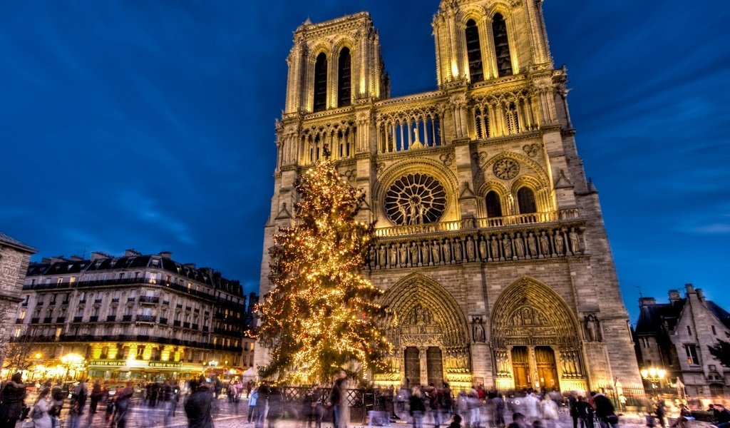 Обои франция, собор парижской богоматери, нотр-дам-де-пари, france, notre dame cathedral, notre dame de paris разрешение 1920x1440 Загрузить