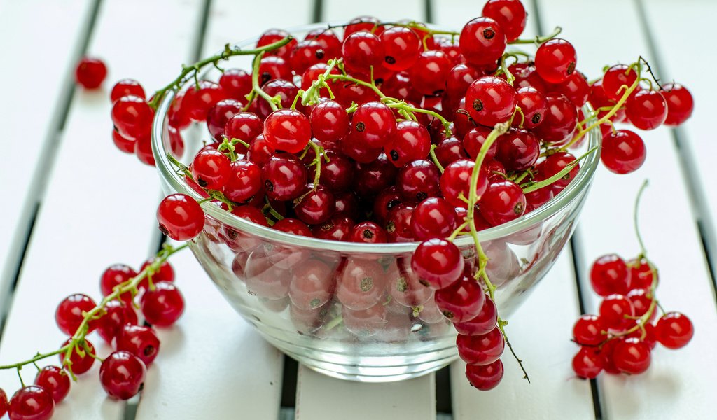 Обои красная, ягоды, тарелка, смородина, red, berries, plate, currants разрешение 1920x1200 Загрузить