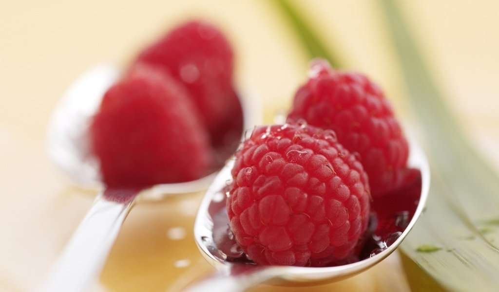 Обои макро, малина, ягоды, ложка, macro, raspberry, berries, spoon разрешение 1920x1200 Загрузить