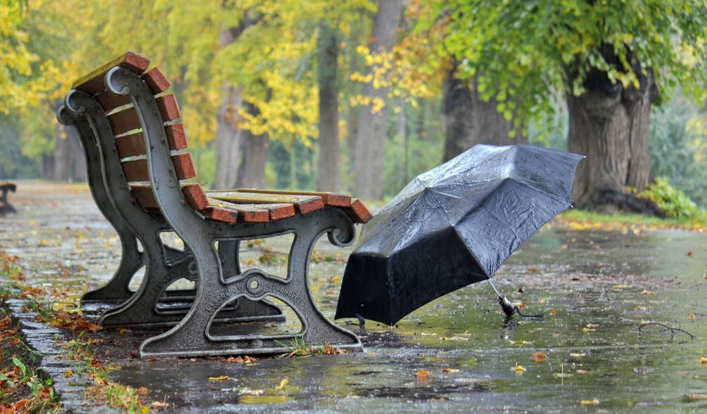 Обои настроение, осень, улица, дождь, зонт, скамейка, скамья, зонтик, dienstag, mood, autumn, street, rain, umbrella, bench разрешение 1920x1200 Загрузить
