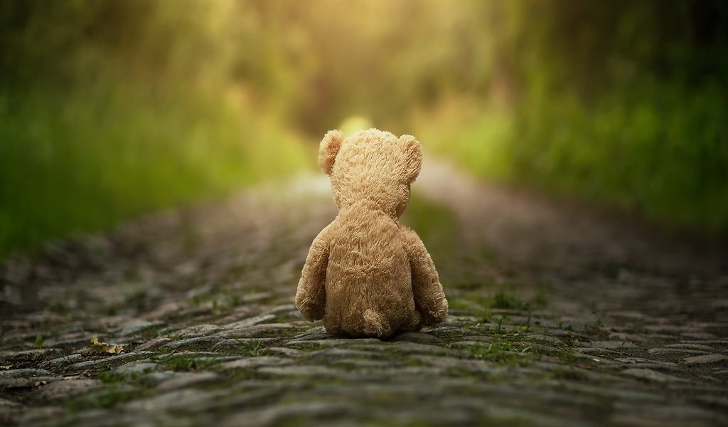 Обои дорога, медведь, мишка, игрушка, плюшевый мишка, мягкая игрушка, road, bear, toy, teddy bear, soft toy разрешение 1920x1148 Загрузить