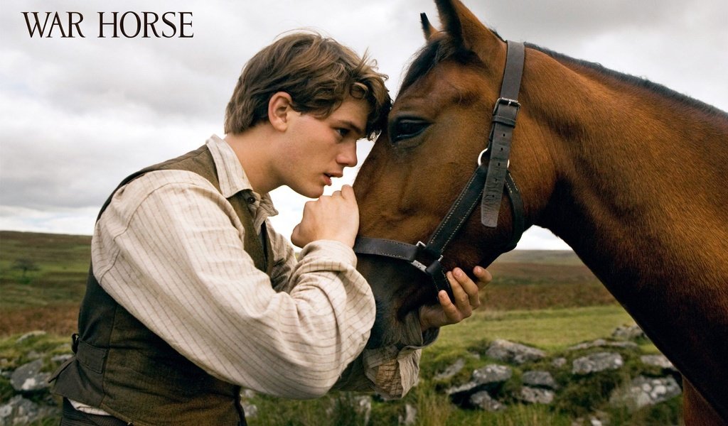 Обои фильм, боевой конь, джереми ирвин, the film, war horse, jeremy irvine разрешение 2560x1600 Загрузить