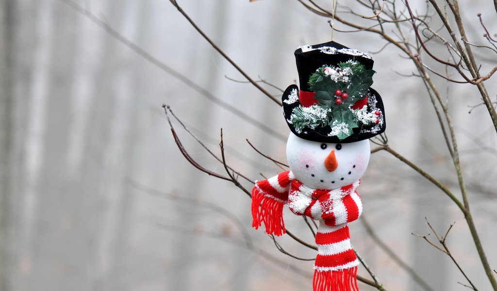 Обои ветки, игрушка, снеговик, праздник, branches, toy, snowman, holiday разрешение 2560x1707 Загрузить