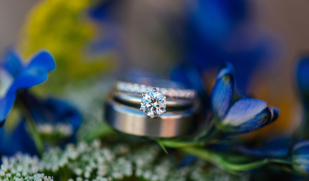 Обои цветы, камень, кольцо, обручальное, синие лепестки, flowers, stone, ring, wedding, blue petals разрешение 6016x4016 Загрузить