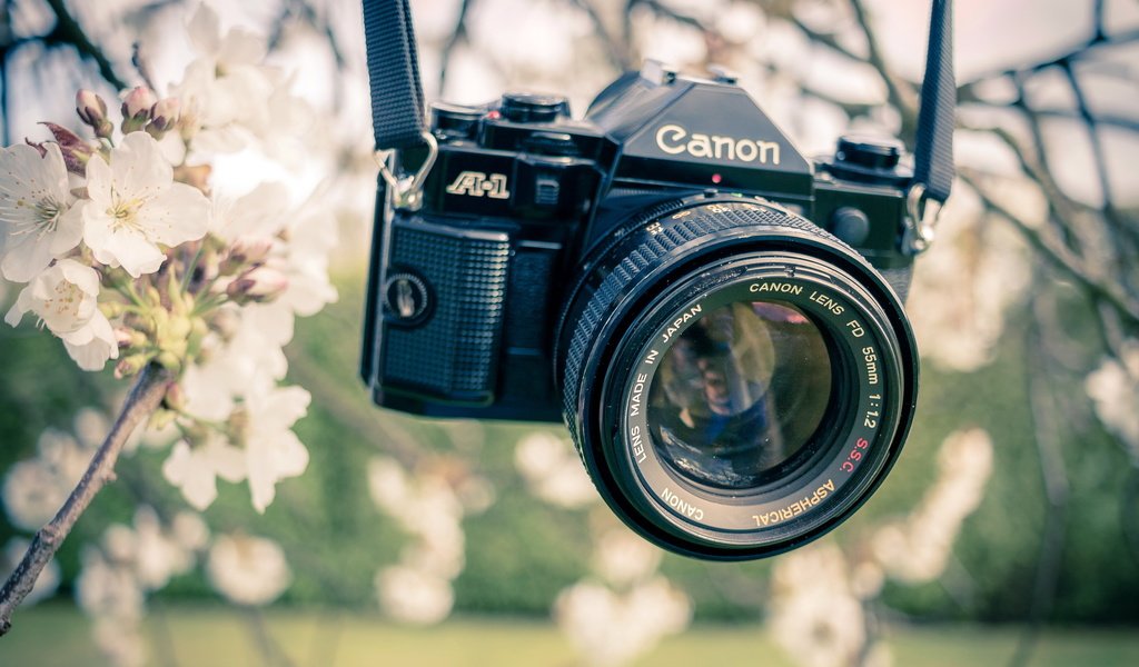 Обои сад, весна, камера, канон, garden, spring, camera, canon разрешение 2560x1610 Загрузить